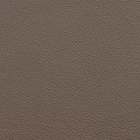 taupe Yappie taupe (Тауп)