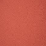 Дизайн Dakota Auto MF Red Formula 1 Дизайн Dakota Auto MF Red