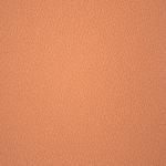 Дизайн Dakota Auto MF Tan Formula 1 Дизайн Dakota Auto MF Tan
